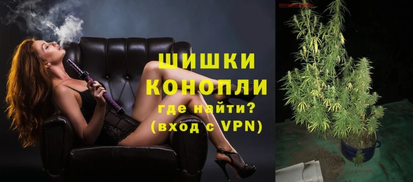 ALPHA PVP Иннополис
