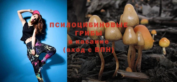 мдма Инта